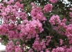 40_color_002