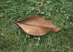 40_color_004