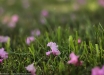 40_varie_001
