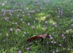 40_varie_002