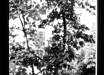 dpp07dc071e002c46