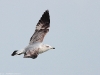 7D_IMG_1483