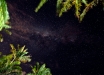 Foto 18 - La volta stellata al nostro arrivo a Port MacQuarie (NSW, Australia) - (Dati di scatto: Canon EOS 7D, Sigma 8-16 f/4.5/5.6 DC HSM, 25 sec, f/5.0, ISO 6400, treppiede)