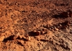 Foto 35 - Il suolo marziano delle Olgas (Kata Tjuta) (Petermann, Uluru-Kata Tjuta National Park, NT, Australia) - (Dati di scatto: Canon EOS 7D, Sigma 8-16 f/4.5/5.6 DC HSM, 1/320 sec, f/10, ISO 400, mano libera)