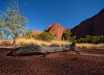 Foto 45 - Tronco a terra ad Uluru (NT, Australia) - (Dati di scatto: Canon EOS 7D, Sigma 8-16 f/4.5/5.6 DC HSM, 1/2000 sec, f/5.6, ISO 400, mano libera a terra)