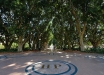 Foto 47 - Il viale centrale di Hyde parkl (Sydney, NSW, Australia) – (Dati di scatto: Canon EOS 7D, Sigma 8-16 f/4.5/5.6 DC HSM, 1/64 sec, f/8, ISO 400, mano libera)