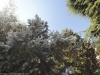 dpp07db08050f0253