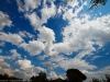 dpp07db081d0c1146